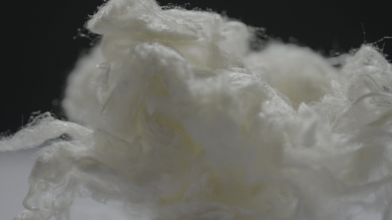 亚洲必赢(股份)有限公司官网