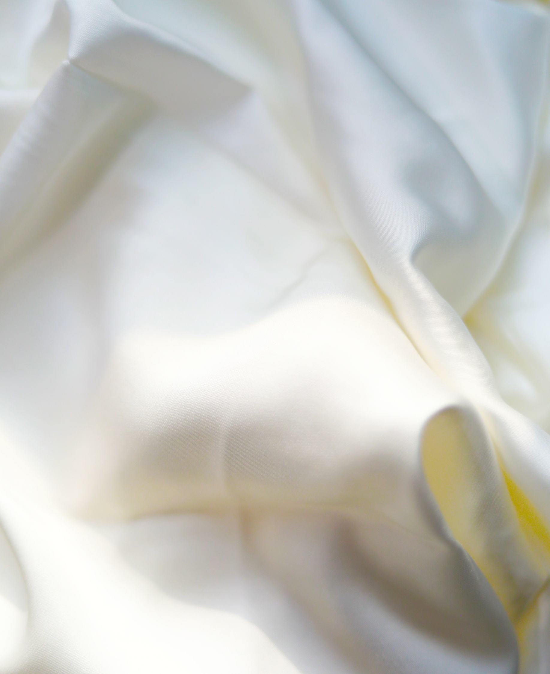 亚洲必赢(股份)有限公司官网