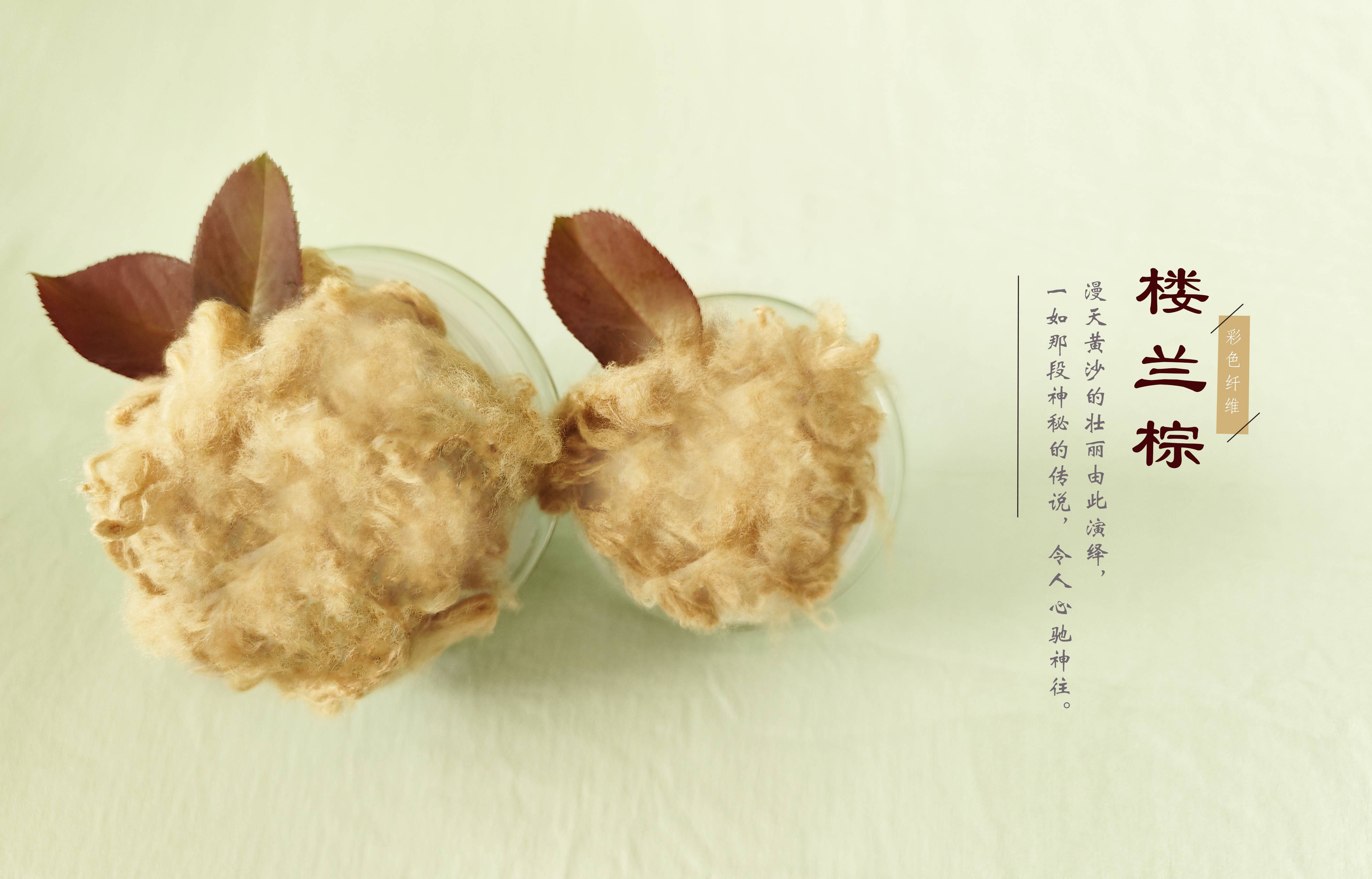 亚洲必赢(股份)有限公司官网