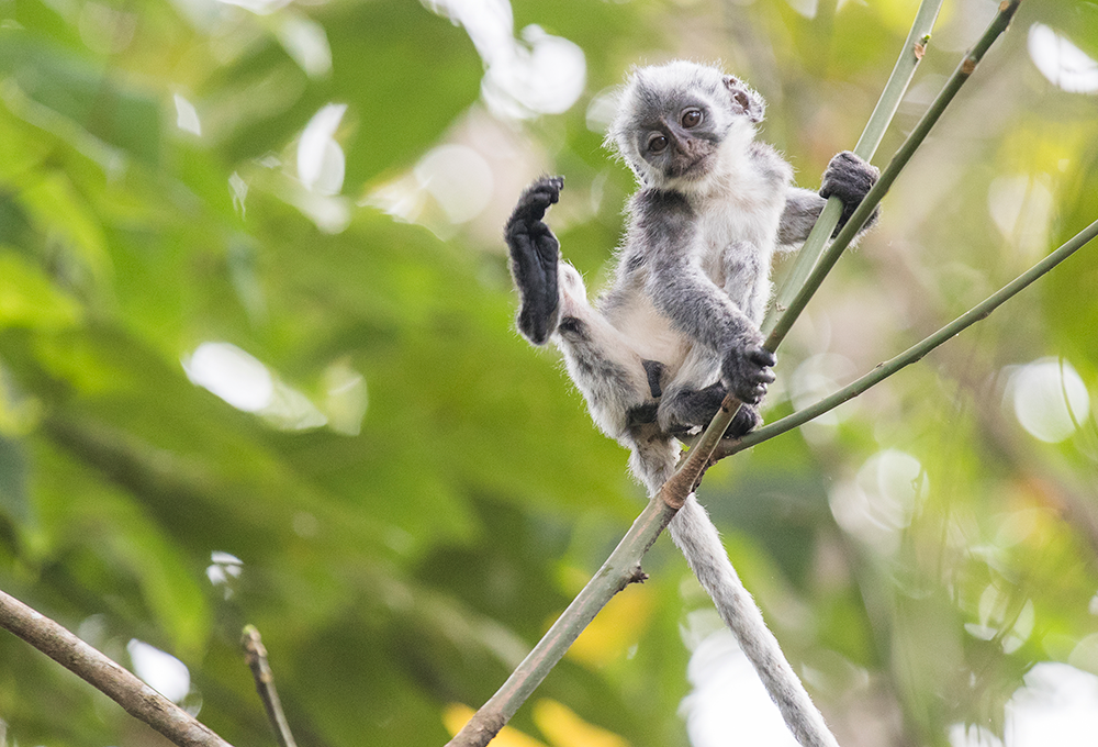 亚洲必赢(股份)有限公司官网